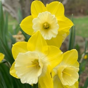 Meet your Posher, Audrey